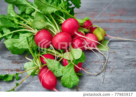 Fresh organic radish harvest on the table Fresh organic radish harvest on the table 77983917