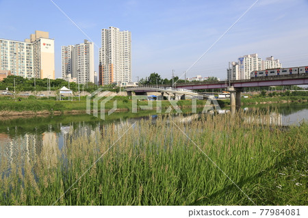 Heavy duty. Water. Water. Bicycle path. Apartment. Bridge. Wildflowers Heavy duty. Water. Water. Bicycle path. Apartment. Bridge. Wildflowers 77984081