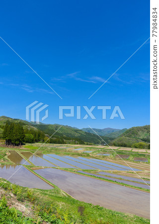 Rice terrace in the sky Rice terrace in the sky 77984834