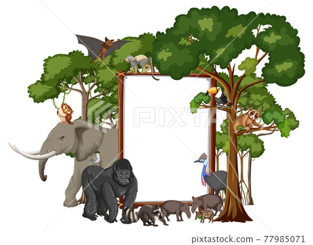 Empty banner with wild animals and rainforest trees on white background 77985071