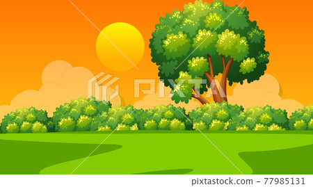 Blank landscape scene of nature park at sunset time Blank landscape scene of nature park at sunset time 77985131