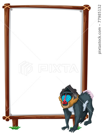 Empty banner with mandrill on white background 77985132