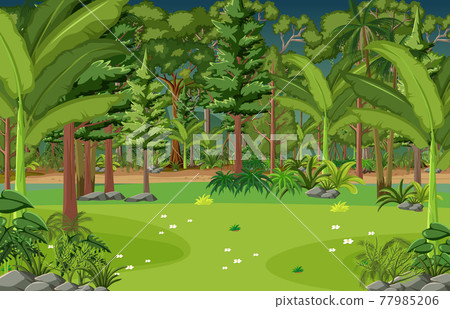 Blank forest scene with many trees Blank forest scene with many trees 77985206