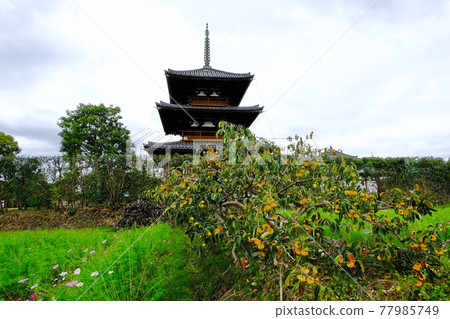 Autumn of Hokiji Temple, a World Heritage Site in Ikaruga 77985749
