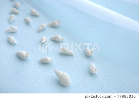 Light blue background and seashells summer image Light blue background and seashells summer image 77985836