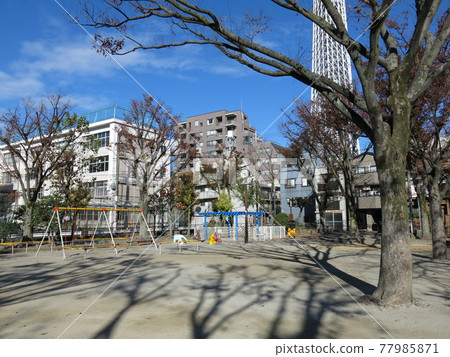 Narihira Park in Sumida Ward, where the Tokyo Sky Tree rises nearby Narihira Park in Sumida Ward, where the Tokyo Sky Tree rises nearby 77985871