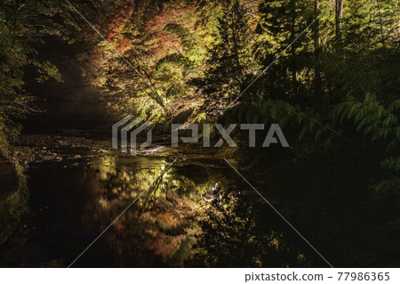 Autumn leaves in Chiba Yoro Valley 77986365