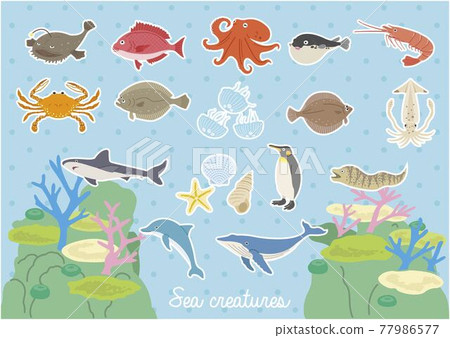 海洋生物插圖集（帶背景） 77986577