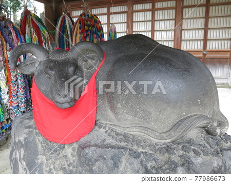 隅田區牛島神社的Nashigyu 77986673