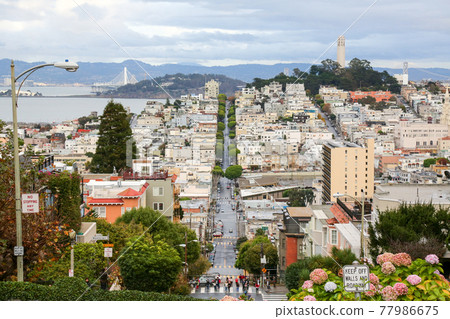 從美國舊金山倫巴第街市中心的景色 77986675