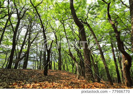 台灣山岳的冒險與旅途 77986770