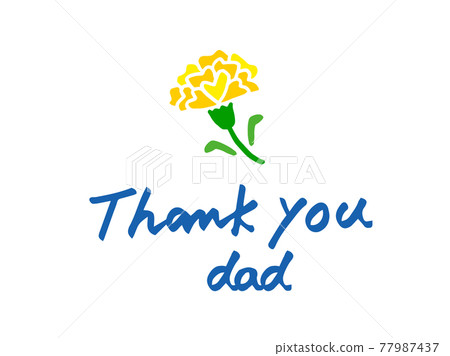 Cute June Father's Day carnation flowers and thank you text/handwritten illustration material 77987437
