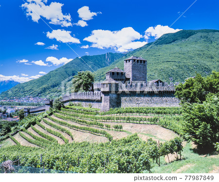 葡萄園和蒙特貝羅城堡 葡萄園和蒙特貝羅城堡 77987849