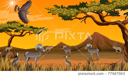 Wild desert landscape at daytime scene 77987903