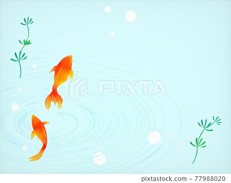 酷金魚背景 77988020