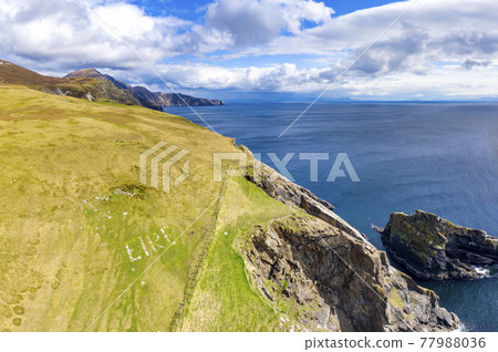 Aerial view of the beautiful coast at Malin Beg with Slieve League in the background in County Donegal, Ireland 77988036
