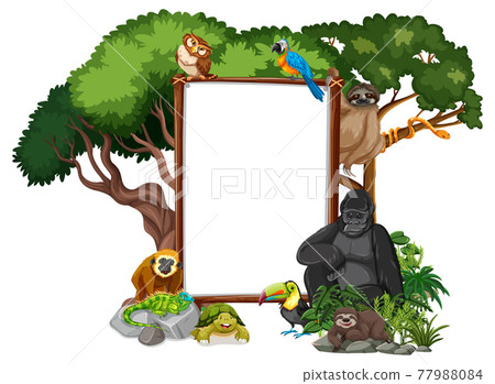Empty banner with wild animals and rainforest... - Stock Illustration ...