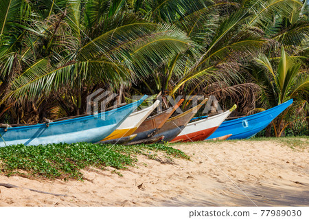 Tropical beach with row of fishing boats, Mirissa, Sri lanka Tropical beach with row of fishing boats, Mirissa, Sri lanka 77989030