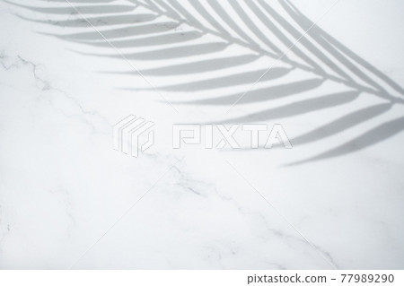 Palm leaves and shadows on marble background 77989290