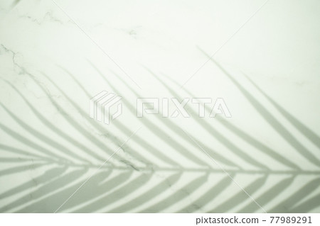 Palm leaves and shadows on marble background 77989291