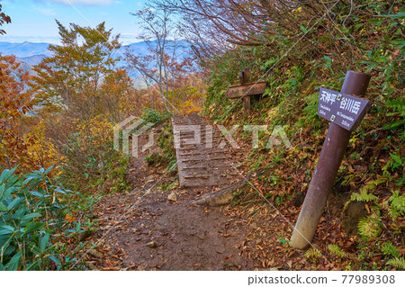 群馬縣谷川岳秋季田尻嶺交界處天神嶺附近(土井、天神平、谷川嶽山頂) 群馬縣谷川岳秋季田尻嶺交界處天神嶺附近(土井、天神平、谷川嶽山頂) 77989308