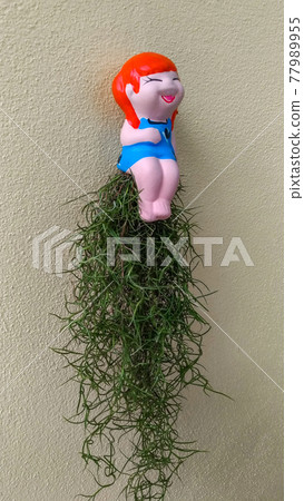 Flower pot girl statue hanging in a flower pot for garden and house decoration on the pale yellow plaster wall. Flower pot girl statue hanging in a flower pot for garden and house decoration on the pale yellow plaster wall. 77989955