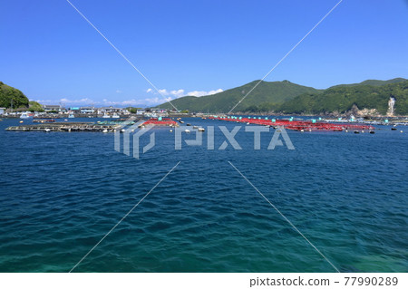 Kashiwajima Aquaculture ponds, early summer (Otsuki Town, Hata District) 77990289