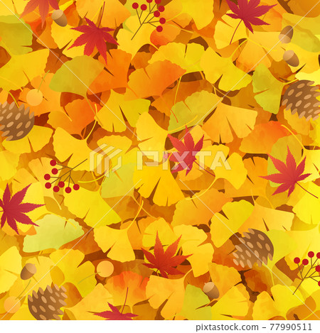 Autumn vector illustration background of ginkgo, autumn leaves and pine cones (fallen leaves, acorns, carpet) Autumn vector illustration background of ginkgo, autumn leaves and pine cones (fallen leaves, acorns, carpet) 77990511
