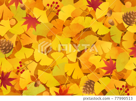 銀杏、秋葉和松果（落葉、橡子、地毯）的秋季矢量圖背景 77990513