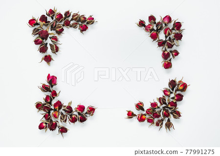 Rose bud frame corners on white background 77991275