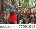 Toyokawa Inari Shizuoka 77991618