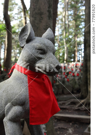 Toyokawa Inari Shizuoka 77991620