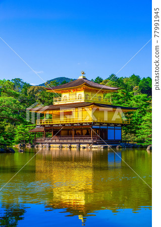 Landscape of Kinkakuji Temple (Kinkakuji Temple) 77991945