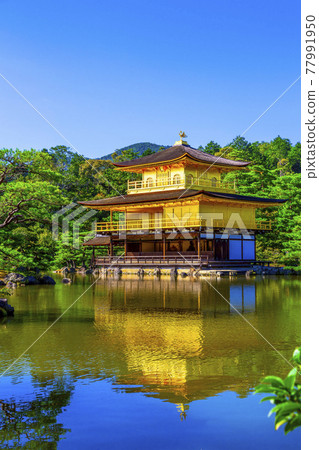 金閣寺景觀(金閣寺) 金閣寺景觀(金閣寺) 77991950
