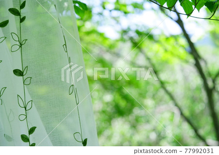 避暑勝地蕾絲窗簾9 77992031