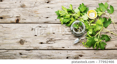 Healing tea with currant leaves,copy space Healing tea with currant leaves,copy space 77992466