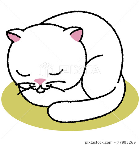 White cat sleeping curled up 77993269