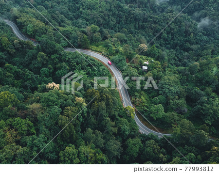 Green road up the mountain in the rainy season Green road up the mountain in the rainy season 77993812