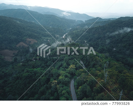 Green road up the mountain in the rainy season Green road up the mountain in the rainy season 77993826