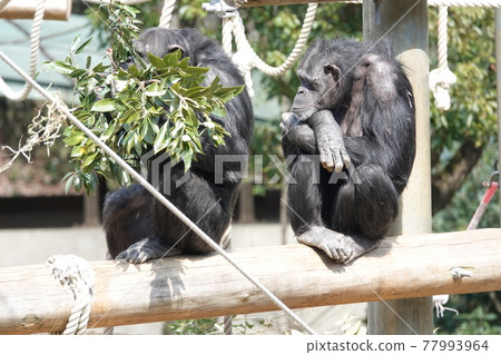 What are you eating What are you eating 77993964