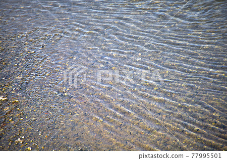 小河波和透明到底部的鵝卵石 77995501