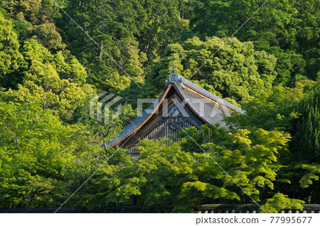 京都南禪寺的新綠 京都南禪寺的新綠 77995677
