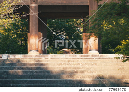 京都南禪寺的新綠 京都南禪寺的新綠 77995678
