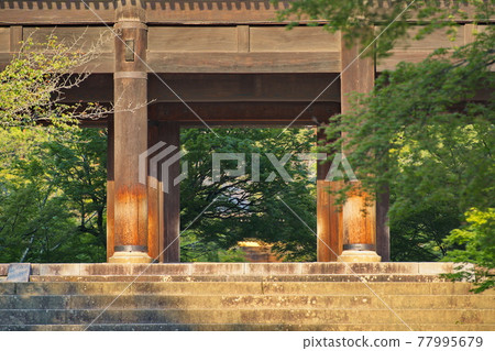 京都南禪寺的新綠 京都南禪寺的新綠 77995679