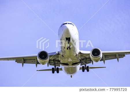 飛機降落波音737  -  800 77995720