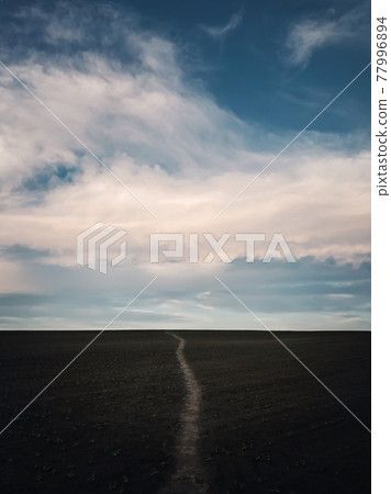 Narrow footpath across a desolate agricultural land, with growing sunflower plants, below a blue sky. Tranquil and minimalist vertical orientation background. Countryside conceptual landscape Narrow footpath across a desolate agricultural land, with growing sunflower plants, below a blue sky. Tranquil and minimalist vertical orientation background. Countryside conceptual landscape 77996894