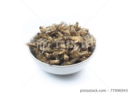 Fried crickets is the food in thai. Fried crickets is the food in thai. 77996943