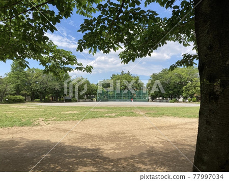 在公園裡練習壘球 77997034