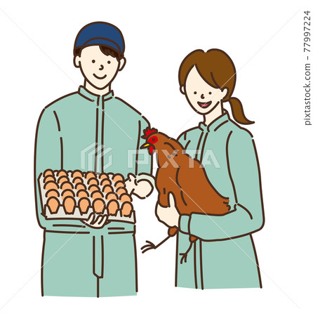 Agricultural girls, livestock girls, poultry farming women, illustrations Agricultural girls, livestock girls, poultry farming women, illustrations 77997224