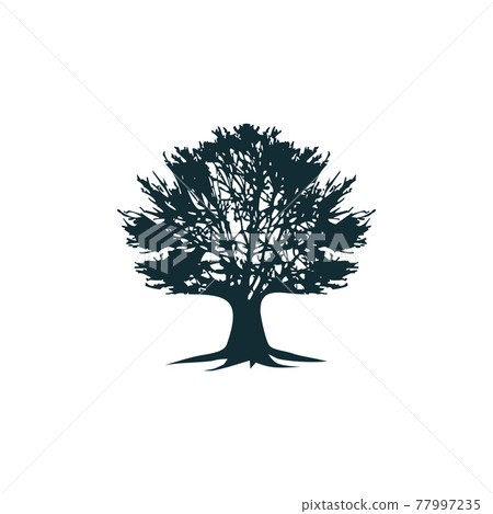 Oak tree logo design template 77997235